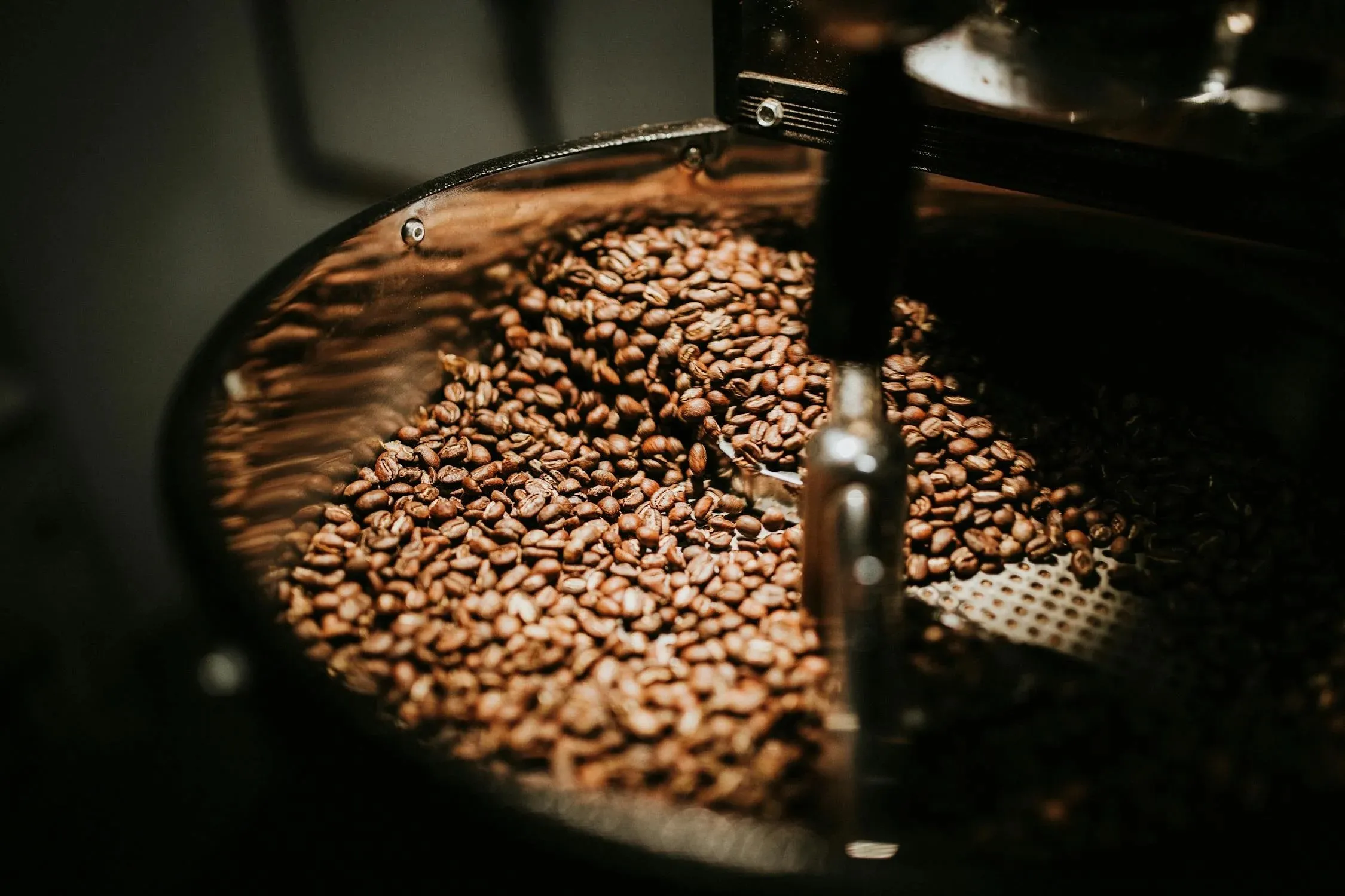 Close-up of freshly roasted coffee beans in a roaster, showcasing their rich brown color and oily texture under dim lighting Close-up of freshly roasted coffee beans in a roaster, showcasing their rich brown color and oily texture under dim lighting